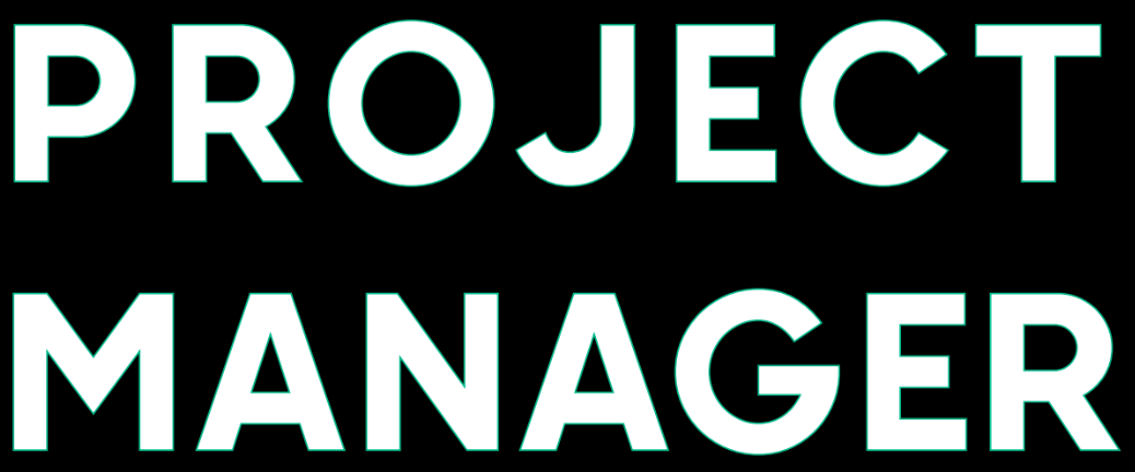 PROJECT MANAGER